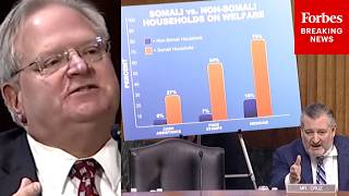 'It's A Simple Question...': Ted Cruz Has Tense Exchange About Somali-American Welfare Usage