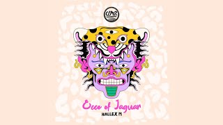 Hallex M - Ecco of Jaguar (Original Mix)