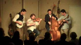 American Primitive, "Well You Needn't"