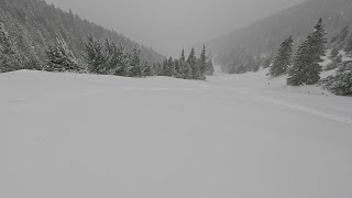 Pure Blizz | Arizona Snowbowl March 7, 2025