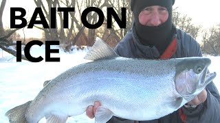 Bait on Ice XX