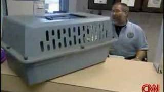 Cat found 300 miles from home.