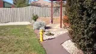 The Backyard