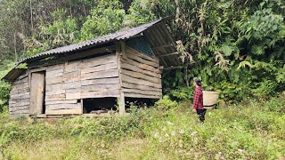 Is Living in the Woods the BEST OPTION for Low Income Single Moms?