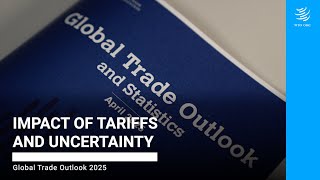 Impact of tariffs and uncertainty