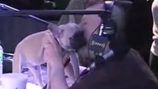 Opie & Anthony: Travis' Dog "Dexter" (Video)