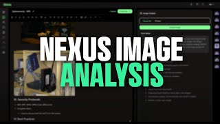 Nexus Image Analysis