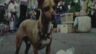 Benja Extra En Su 1ra Movie!