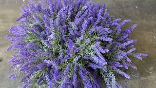 Artificial Lavender Pots
