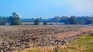 Ragdoll Shop Teletubbies live footage