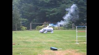 4th of July sparkler Bomb!  Hippo exploding