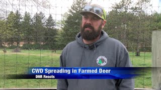 Movement of farmed deer banned in Minnesota amid CWD concerns