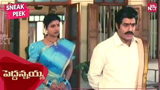 Balakrishna as a loving brother | Peddannayya | Telugu | Roja | Indraja | Sun NXT Telugu