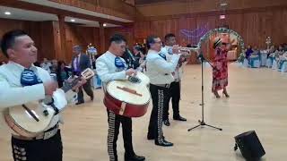 Amor Eterno-Ana Bertha & Mariachis Fiesta Bravo - 2025