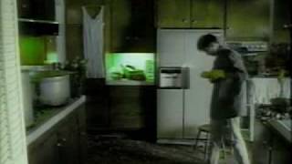 K. D. Lang-So In Love