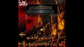 یکم ربیع الاول در بتولٌ جلایا گیا مدنیہ میں۔شاعر ۔ میر تکلم میرآواز خطیبہ سیدہ روباب کاظمی چکوال،🙏