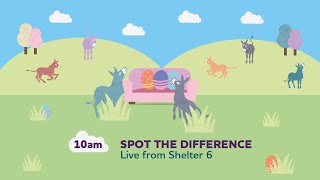 Spot the difference (Live) | Sanctuary From Your Sofa