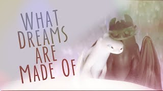 Toothless & The Light Fury | What Dreams Are Made Of