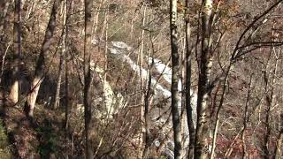Amicalola Falls, GA Part IV 11/12/2020 4:09pm