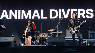 Animal Divers (애니멀다이버스) | Live at Playtime Music Festival 2024