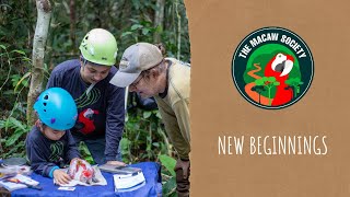 The Macaw Society | New Beginnings