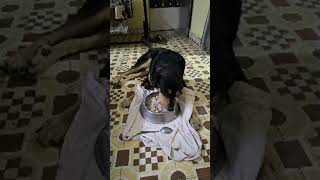 Devang Goswami is live