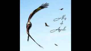 Alas de Águila (Canción de Música Medicina)