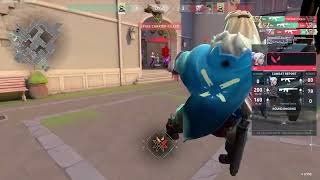 New Skin MVP