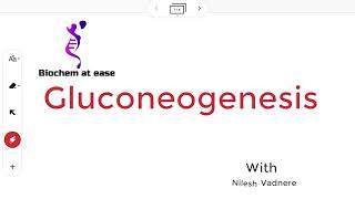 Gluconeogenesis
