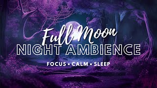Full Moon Night Ambience — Relaxing Windy Night with Owls and Crickets — Focus, Calm, Sleep