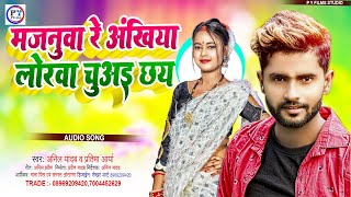 Anil Yadav New Song 2023 | मजनूवा रे अंखिया से लोरवा चुबई छै | Maithili Sad Song | Dardbhara Song