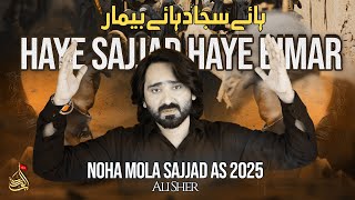 Haye Sajjad Haye Bimar - Ali Sher | Noha Mola Sajjad As - 2025