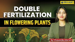 Double Fertilization in Flowering Plants | Explained by Chayanika Ma'am | SPM & LALAN'S