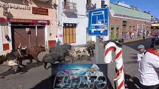 ENCIERRO DE TOROS ESTILO PAMPLONA EN HUAMANTLA. PRODUCCIÓN "EL PATO"