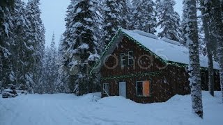 Winter Cabin With Snow Falling. Stock Footage