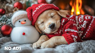 12 HOURS of Calming Music for Dogs 🐶🎄 Separation Anxiety Relief & Comfort 💖 No Ads