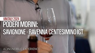 Vinitaly 2024 | Poderi Morini e il Centesimino