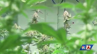 North Carolina advisory group recommends legalizing marijuana for adults