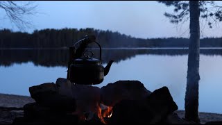 Cozy Campfire 🔥 Relaxing Fireplace Sounds 🔥 Crackling Fire Sounds (NO MUSIC) 🔥