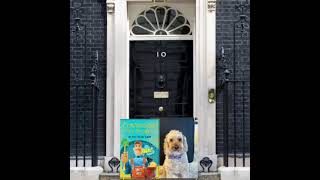 Ringo for Prime minister ???????