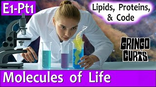 Episode 1, Part 1: Abiogenesis = First Experience of Time?