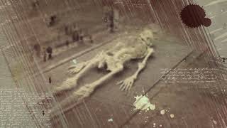 Special Video Showcasing Ancient Giants Petrified on the Surface of Earth