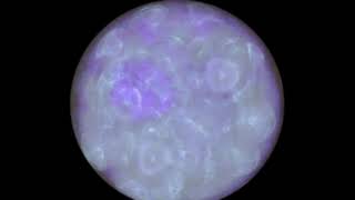 Cymatics | Vibration Creating Form : Fluid Geometry