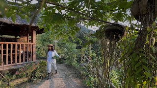 A simple mountain life, Planting Vegetables, Cook ultimate Filipino dinengdeng 