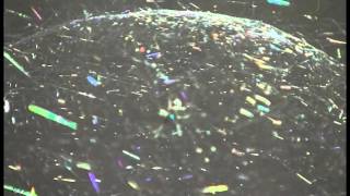 . prism spider web with butterflys Neal's orig music