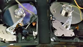 Struggle For Existence - Dynasty Warriors 4 on Stereo Hard Drive Speakers