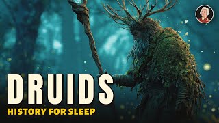 Who Were The Druids? | Boring History For Sleep