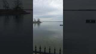 A Trip Into Larchmont, NY Episode 2