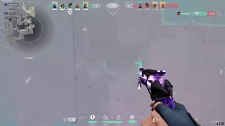 Jake Bacardi Live Stream