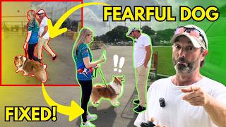 Train a Fearful Dog: How to Increase Confidence in Public (Real Footage)